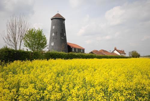 Yaxham Mill Bed & Breakfast Dereham Dış mekan fotoğraf
