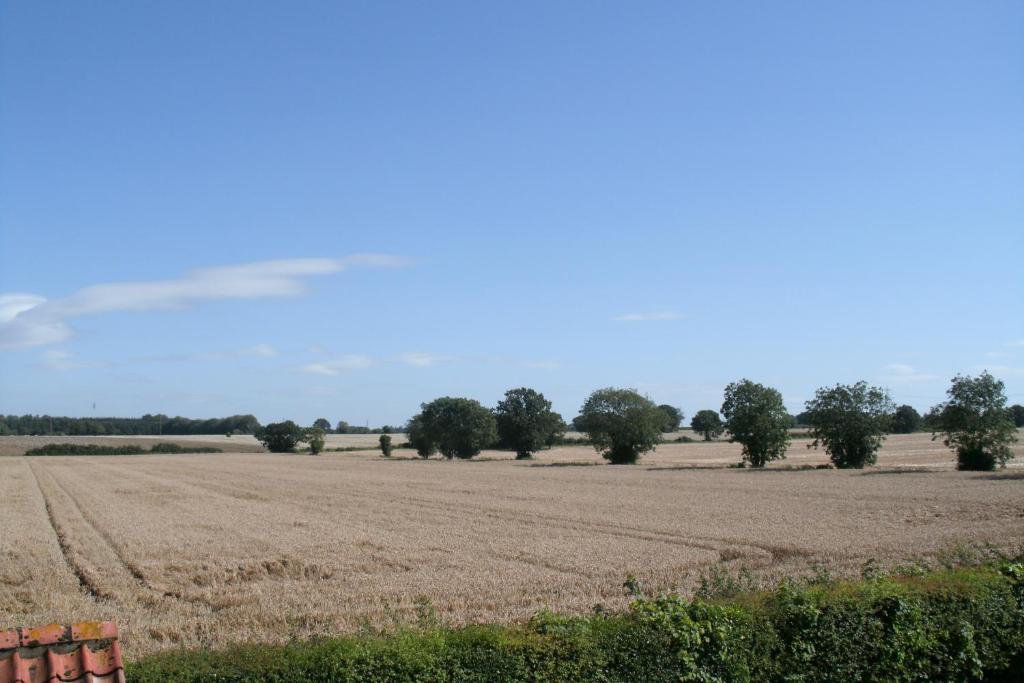 Yaxham Mill Bed & Breakfast Dereham Dış mekan fotoğraf